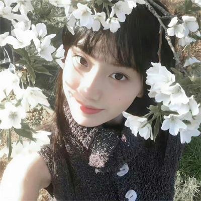 安娜贝尔国语